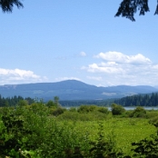 Mount St. Helens 12